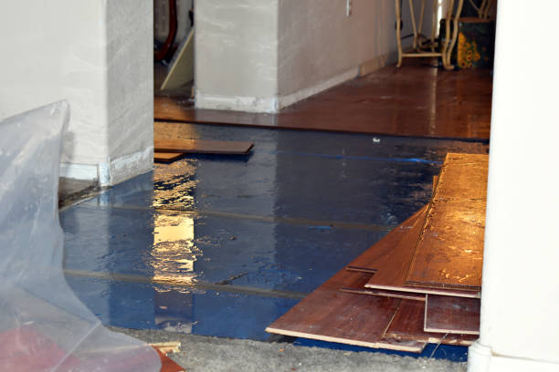 Professional Burst Pipe Cleanup technician working in Quincy, FL